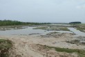 মাটিখেকোদের থাবায় আনোয়ারার গহিরা প্যারাবন